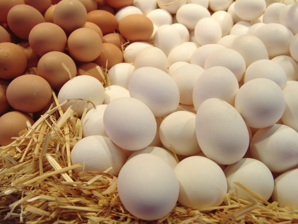 В Украине существенно подорожали яйца и мясо