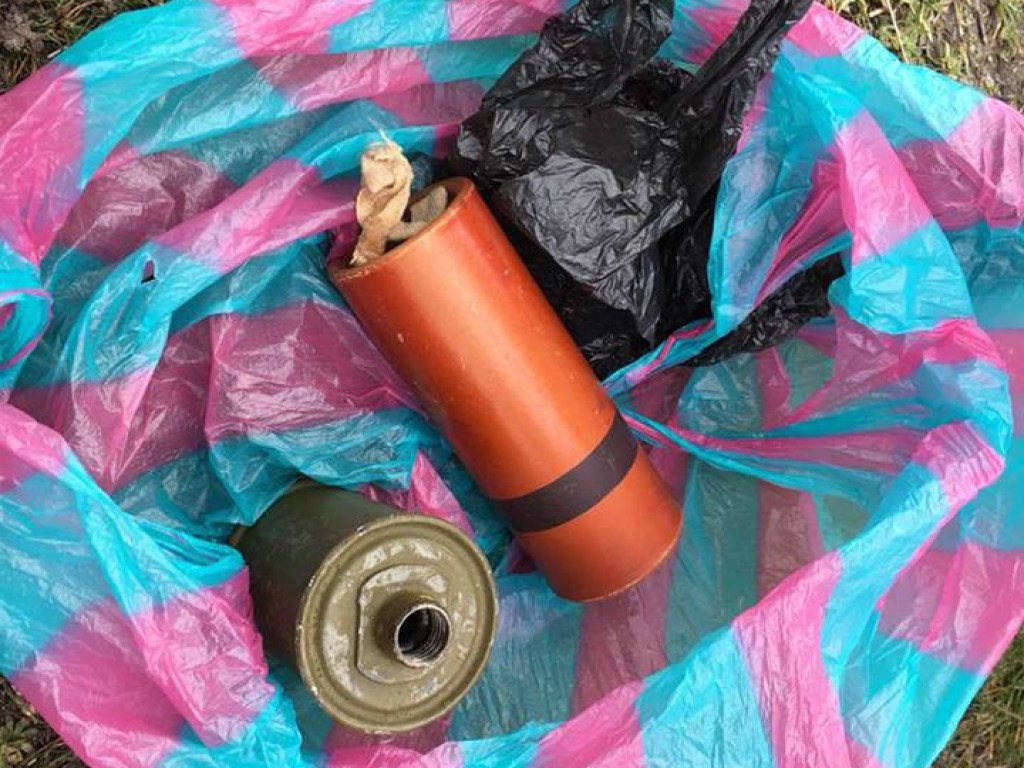 В Херсонской области мужчина пытался обменять гранату на бутылку водки (ФОТО)