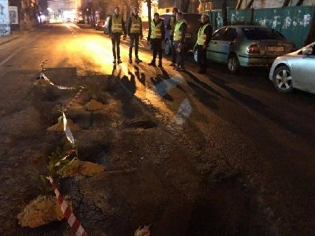 Водители Ивано-Франковска высадили тюльпаны в ямы на дорогах (ФОТО)