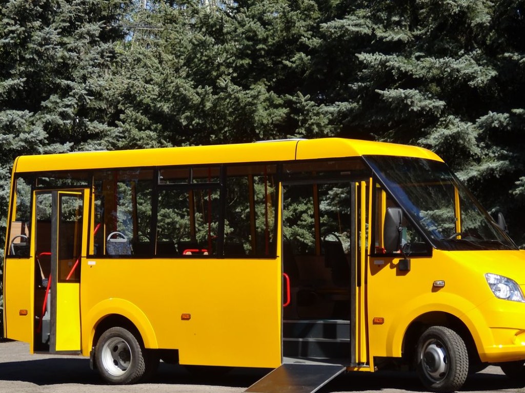 В Мариуполе чиновница пыталась скрыть от декларирования 22 автобуса &#8212; НАПК