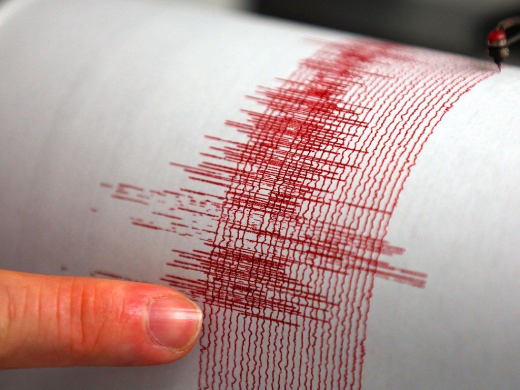 В Японии произошло землетрясение магнитудой 4,8  бала