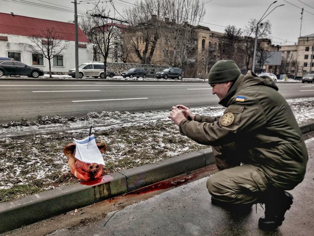 В Киеве перед посольством России бросили окровавленную голову свиньи (ФОТО)