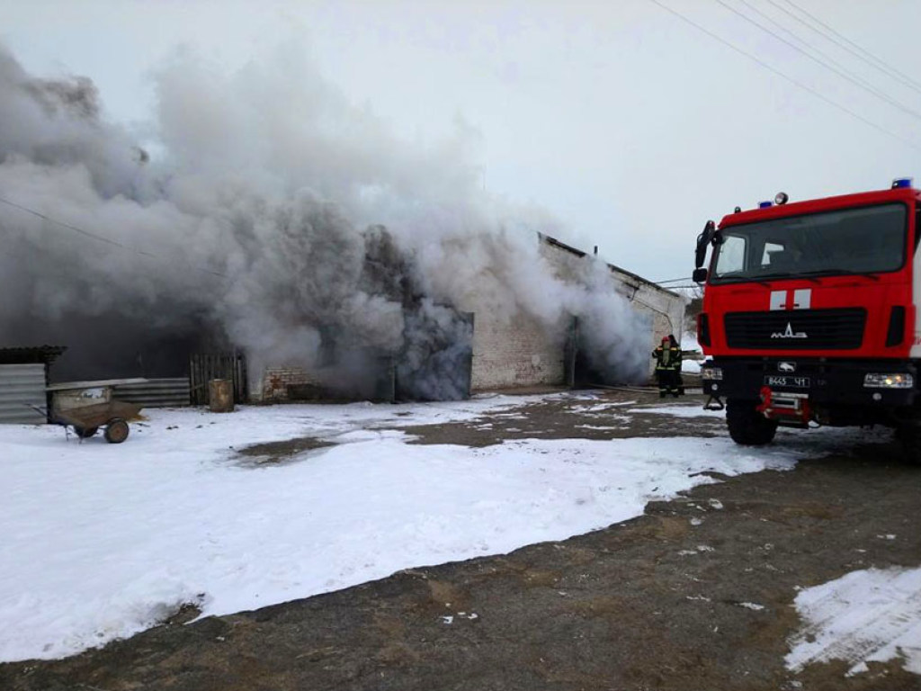 В Миргороде горела птицеферма (ФОТО)