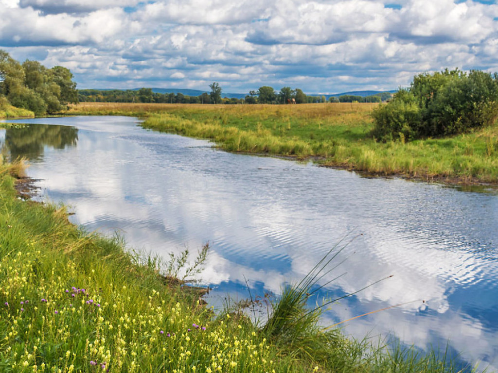 В Украине за 30 лет исчезло более 10 тысяч малых рек – эксперт