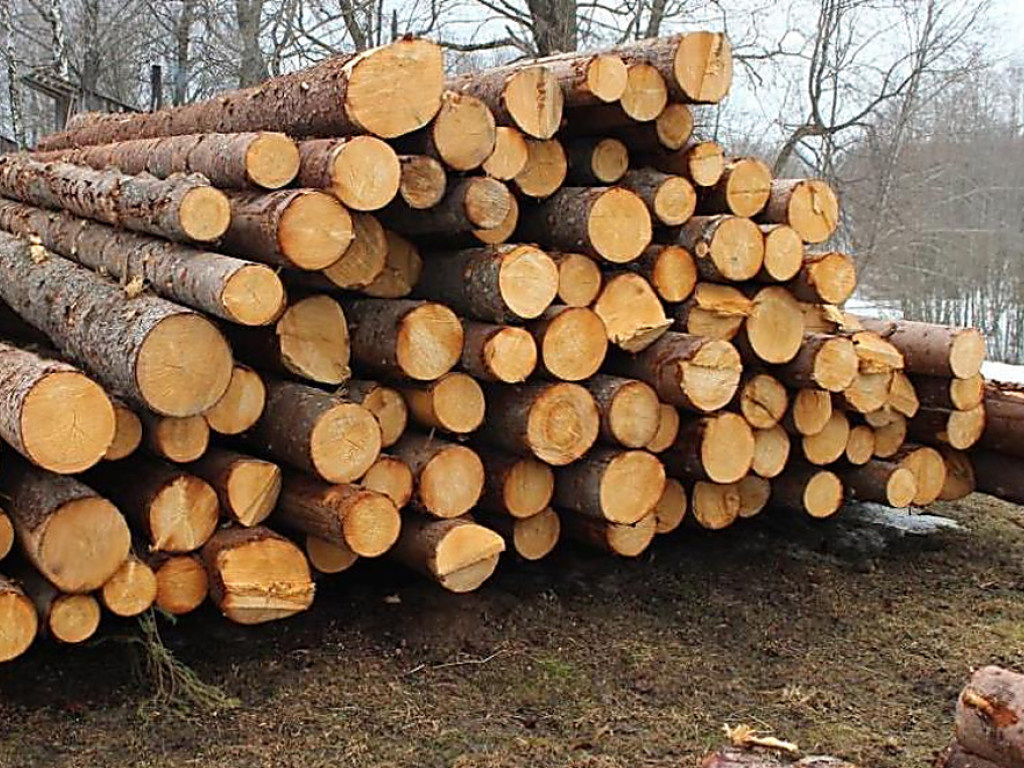 Вопрос леса-кругляка исключат из условий новой финансовой помощи ЕС Украине