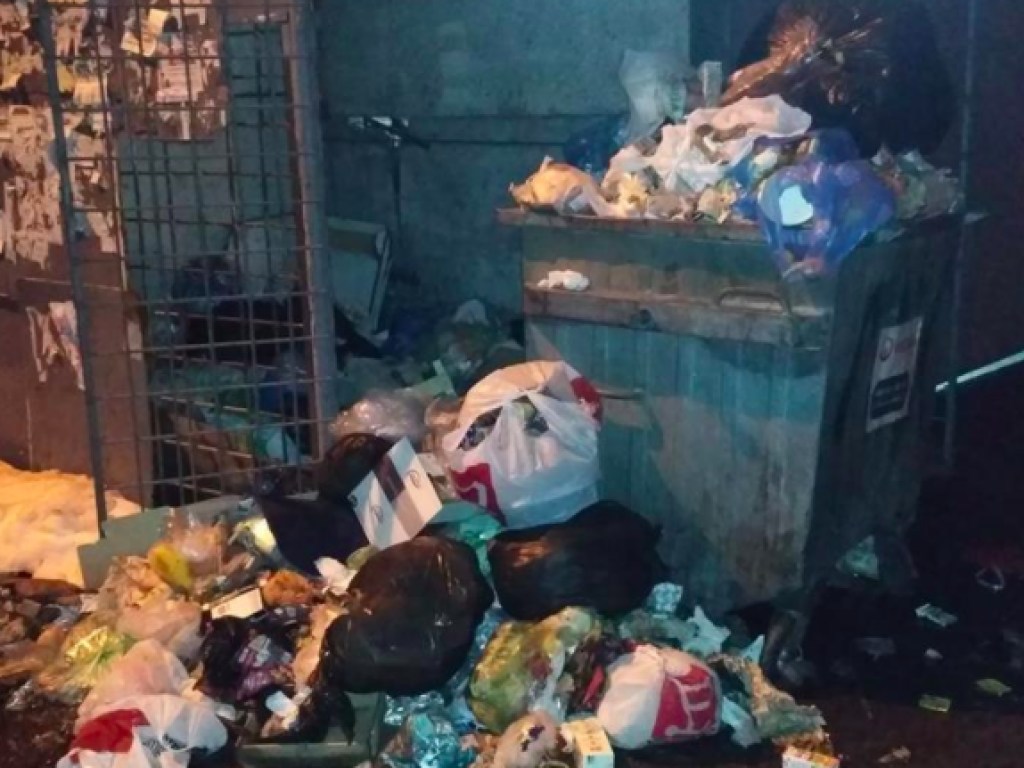 Не город, а свалка: киевляне жалуются на забитые мусорники (ФОТО)