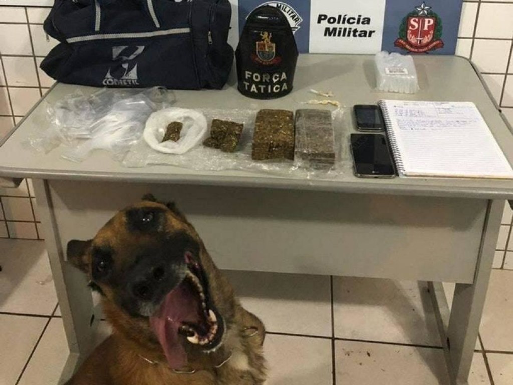 Улыбающийся пес разоблачил наркоторговца и стал звездой интернета (ФОТО)