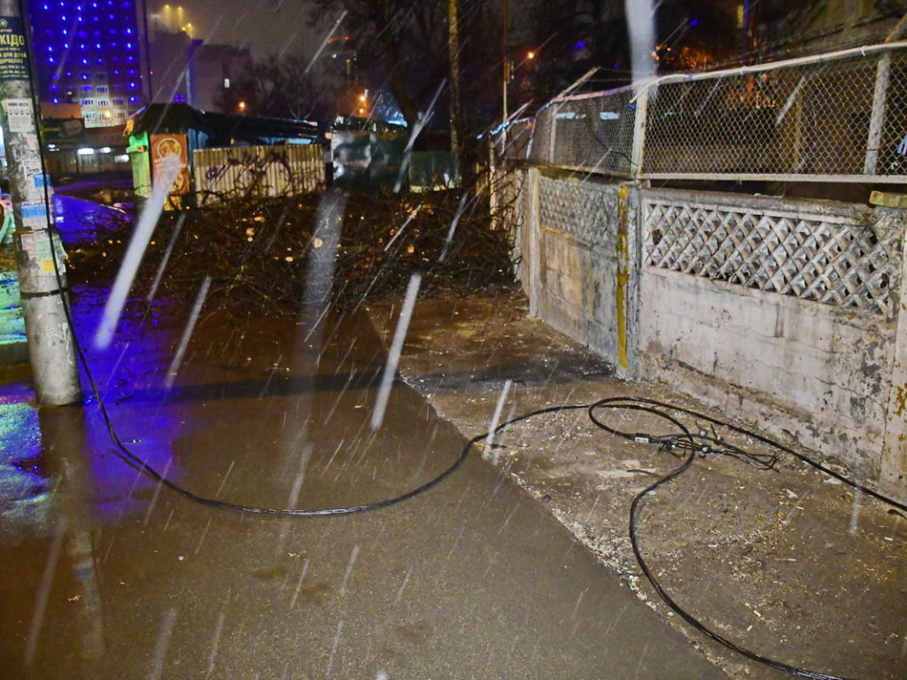 В Киеве на улице Жилянской упавшее дерево оборвало линию электропередач (ФОТО)