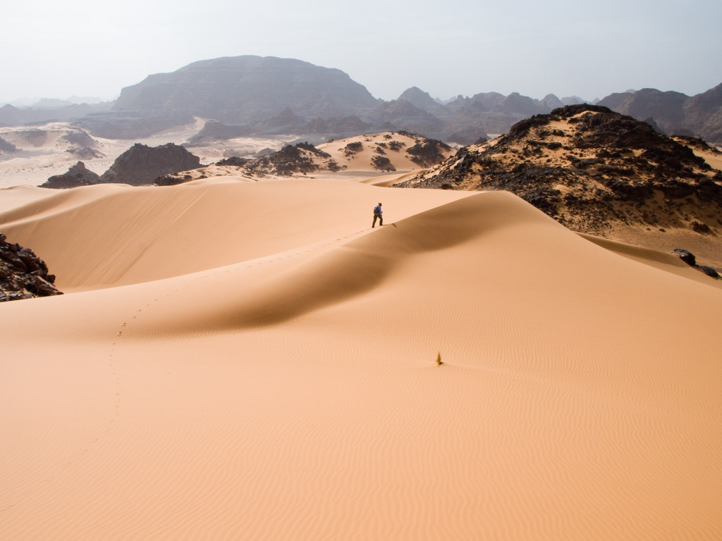 Площадь пустыни Сахара выросла на 10% и продолжает увеличиваться – ученые