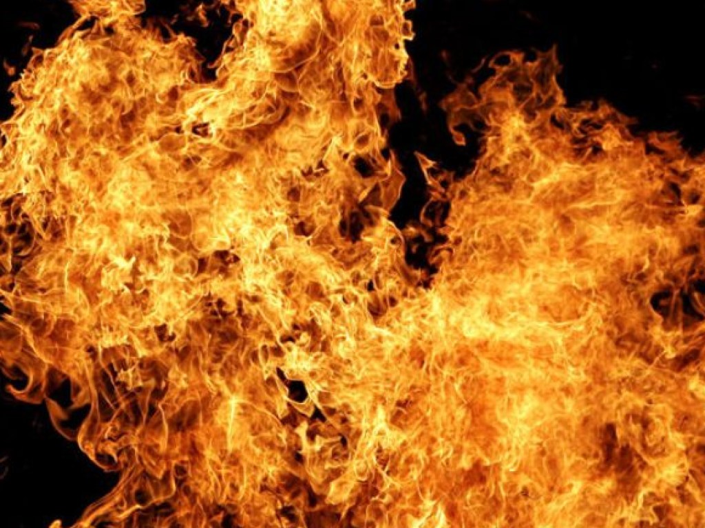 Ночью на Софиевской Борщаговке в Киеве сгорели пять автомобилей (ФОТО, ВИДЕО)