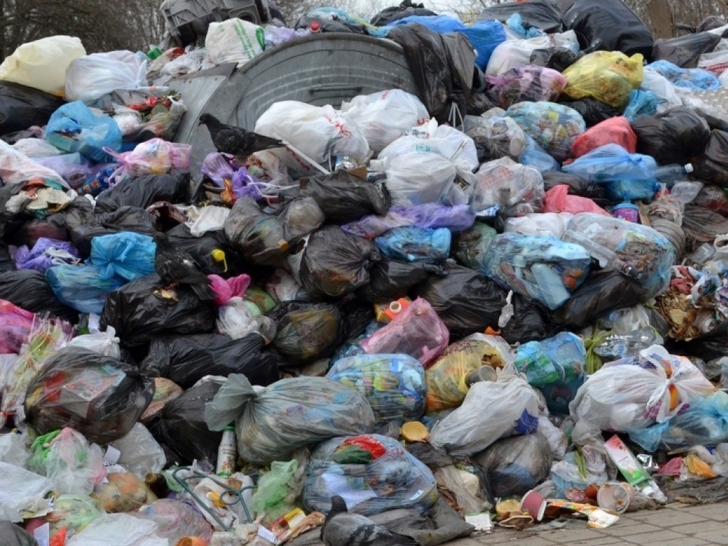 На окраине Львова посреди улицы обустроили мусорный полигон (ВИДЕО)