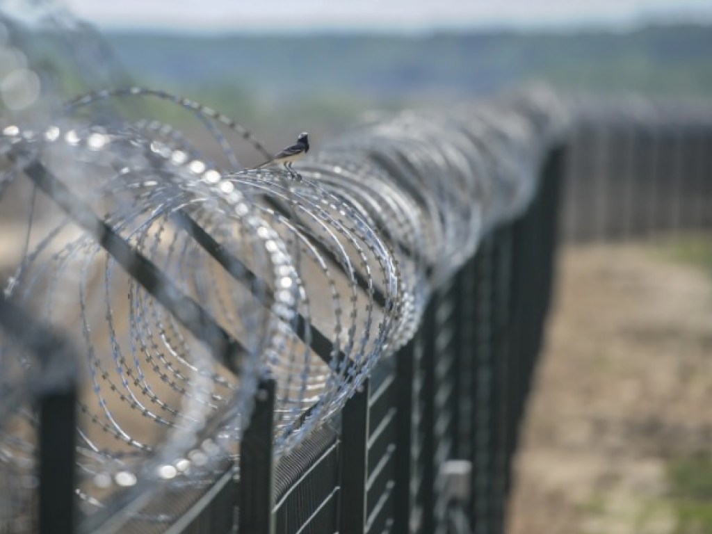 Столичная воровка из зала суда «добежала» до границы с Румынией