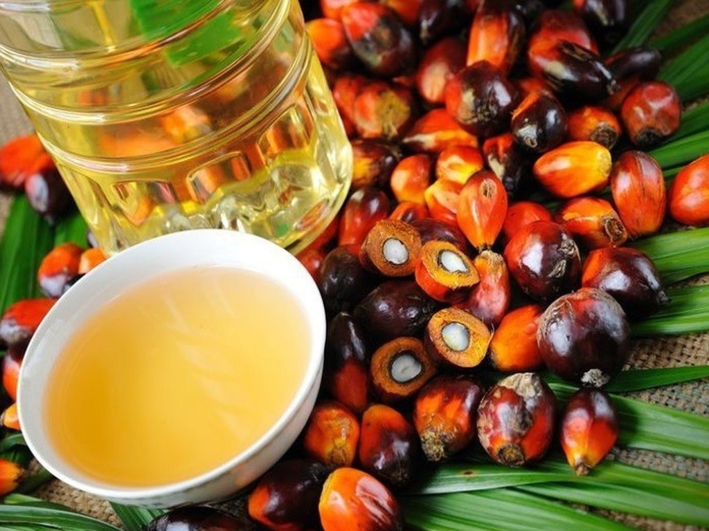 Запрещенное в Европе пальмовое масло используется в 80% украинских продуктов &#8212; эксперт