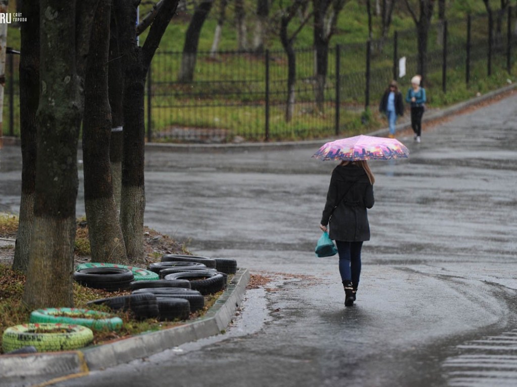Синоптик: В Украину придут дожди с грозами, днем до +20 градусов (КАРТА)