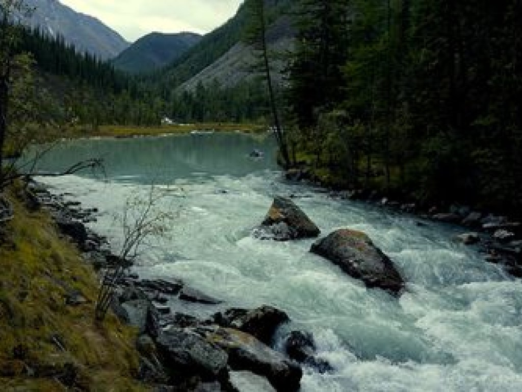 Трагедия на Закарпатье: в горной речке утонули дед с внуком