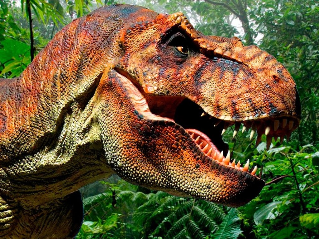 Динозавров убил не астероид, а ядовитые цветы – ученые
