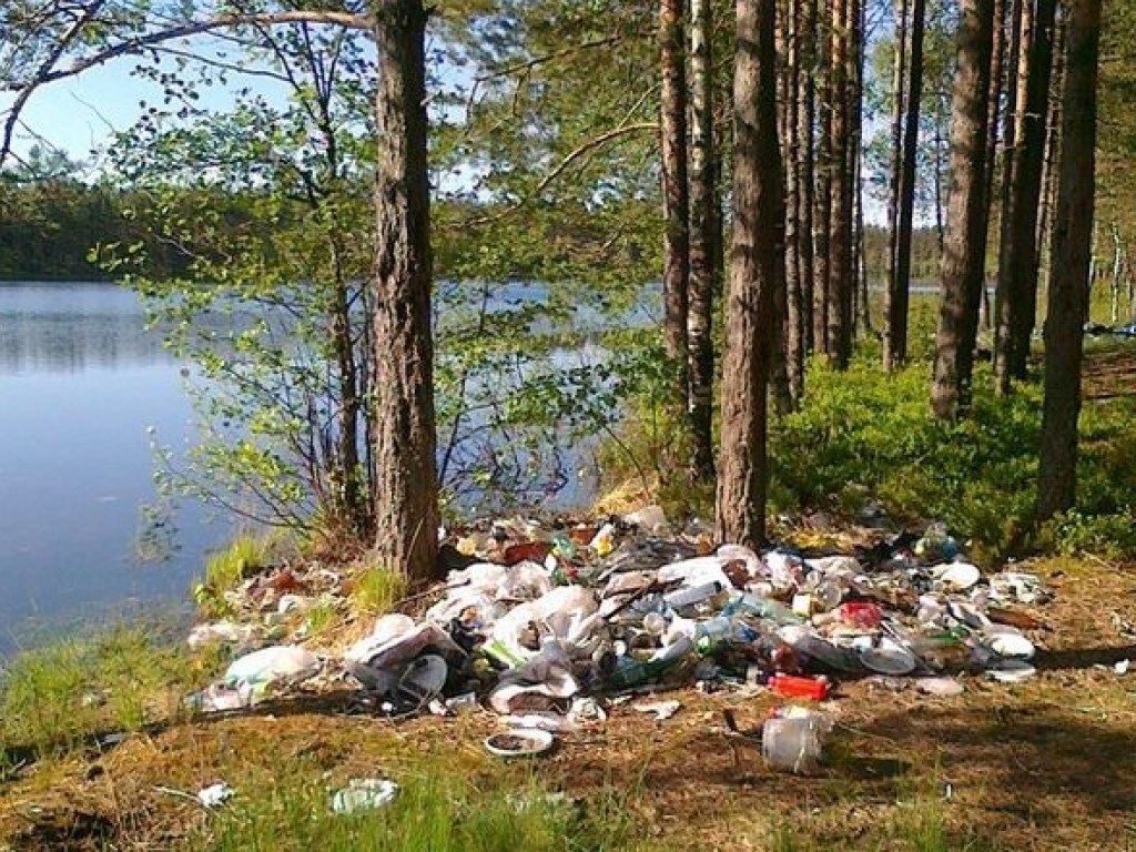 На столичных Позняках возле озера Лебединое образовалась стихийная мусорная свалка