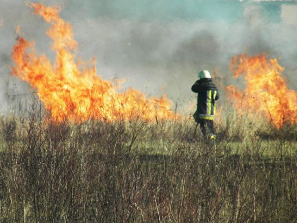 В Киеве на выходных ожидается высокий уровень пожарной опасности
