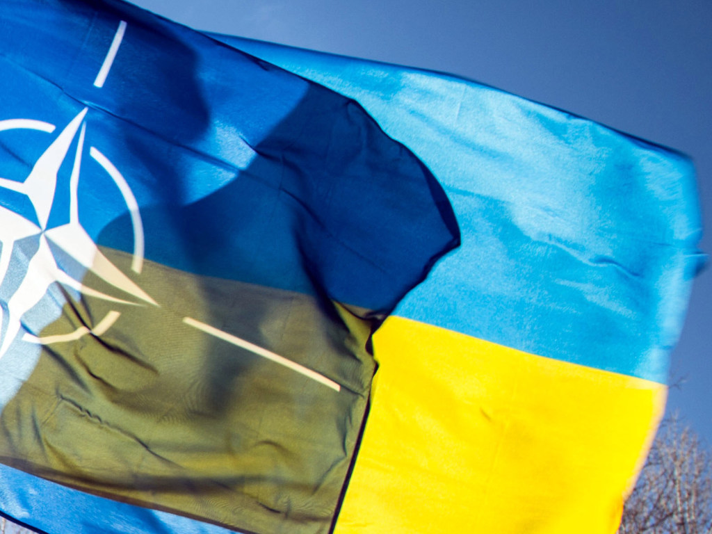 Политолог прокомментировал визит заместителя генсека НАТО в Украину