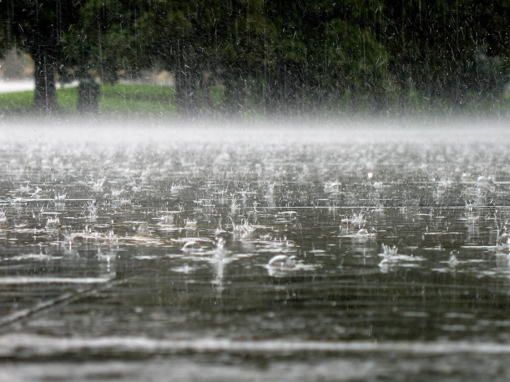 Укргидрометцентр предупредил о дождях и грозах в среду