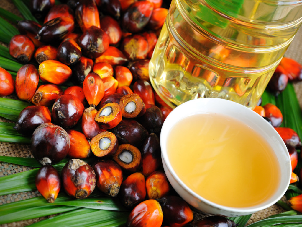 В Украине собираются запретить использование пальмового масла в пищевых продуктах