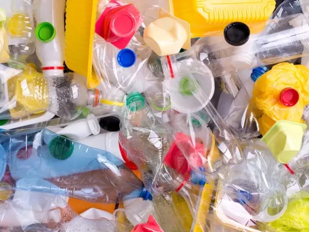 В Японии нашли бактерию, которая разлагает пластик за несколько дней