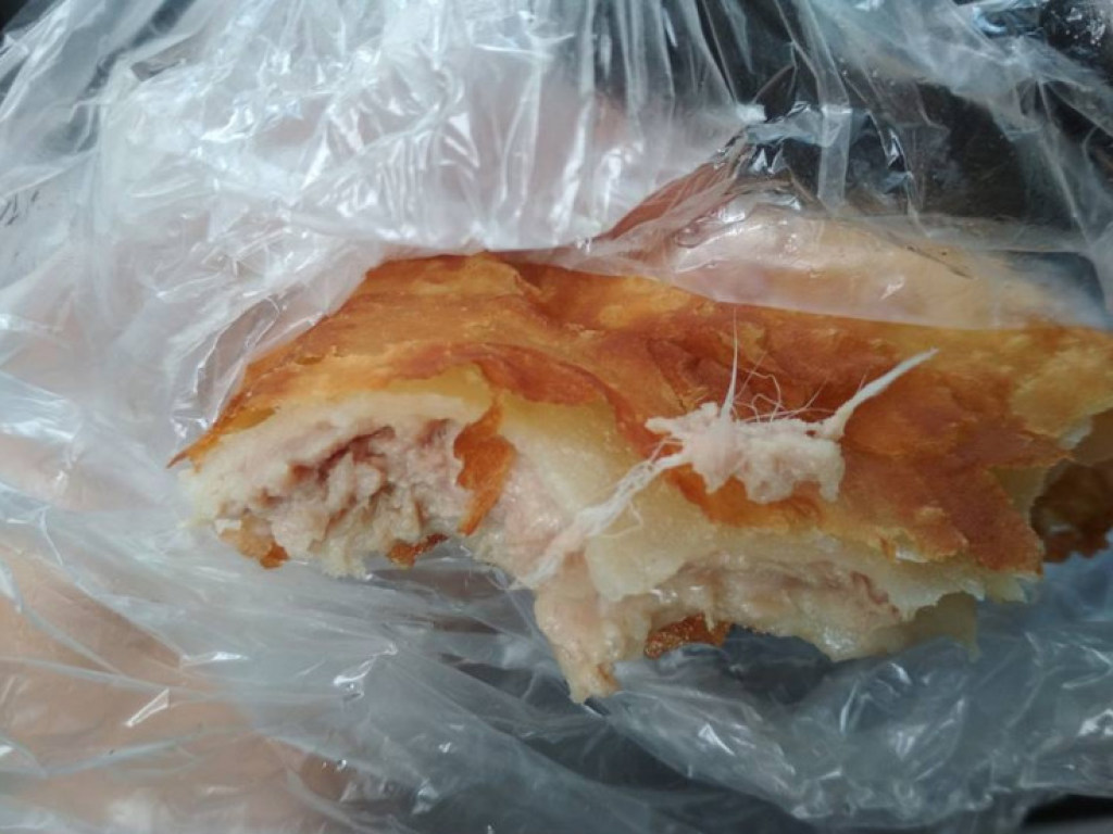 Уличная еда: житель Запорожья нашел в чебуреке шерсть (ФОТО)