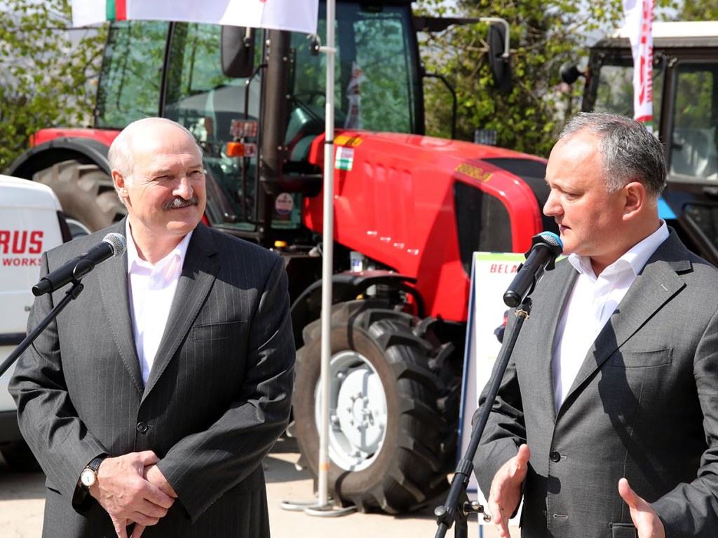Лукашенко и Додон поработали на кукурузном поле (ВИДЕО)