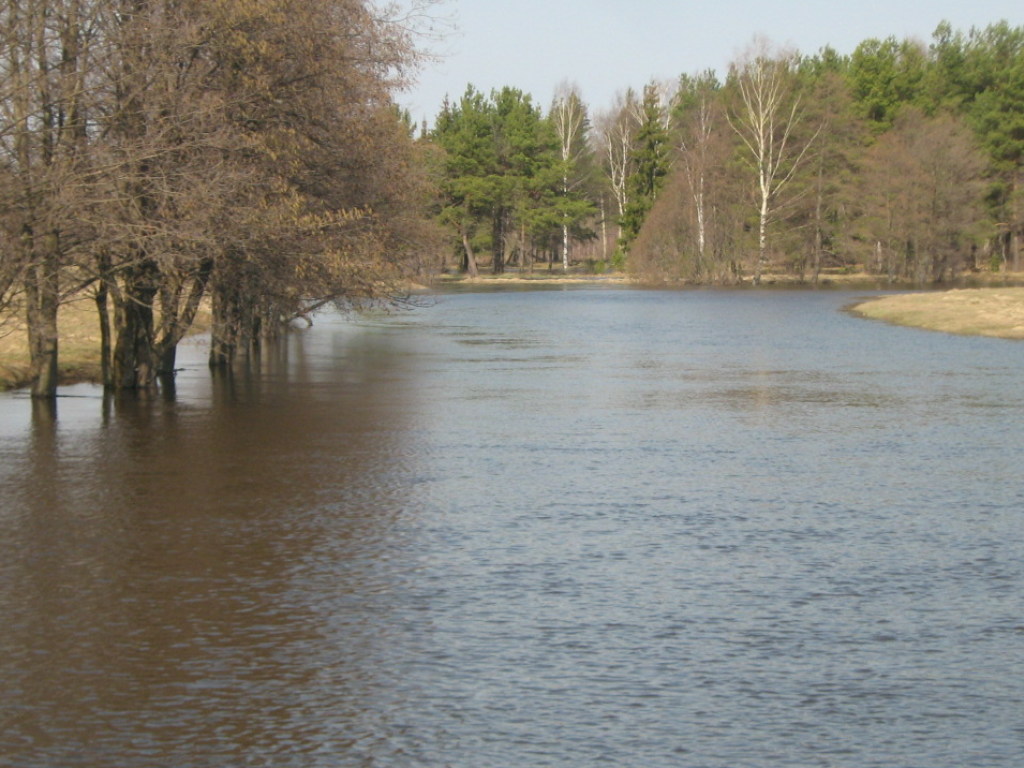 В ГСЧС предупредили о половодье: в реках уровень воды поднимется на 4-10 сантиметров