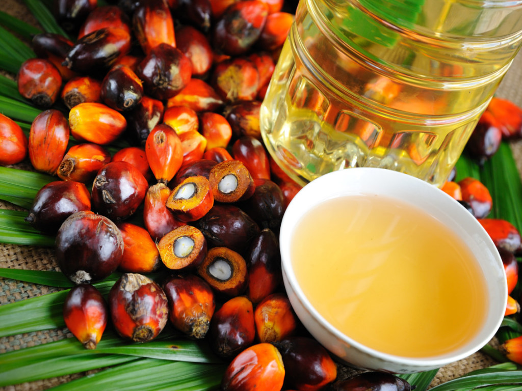 Н. Кильдий: «Пальмовое масло производители могут заменить небезопасным маргарином»