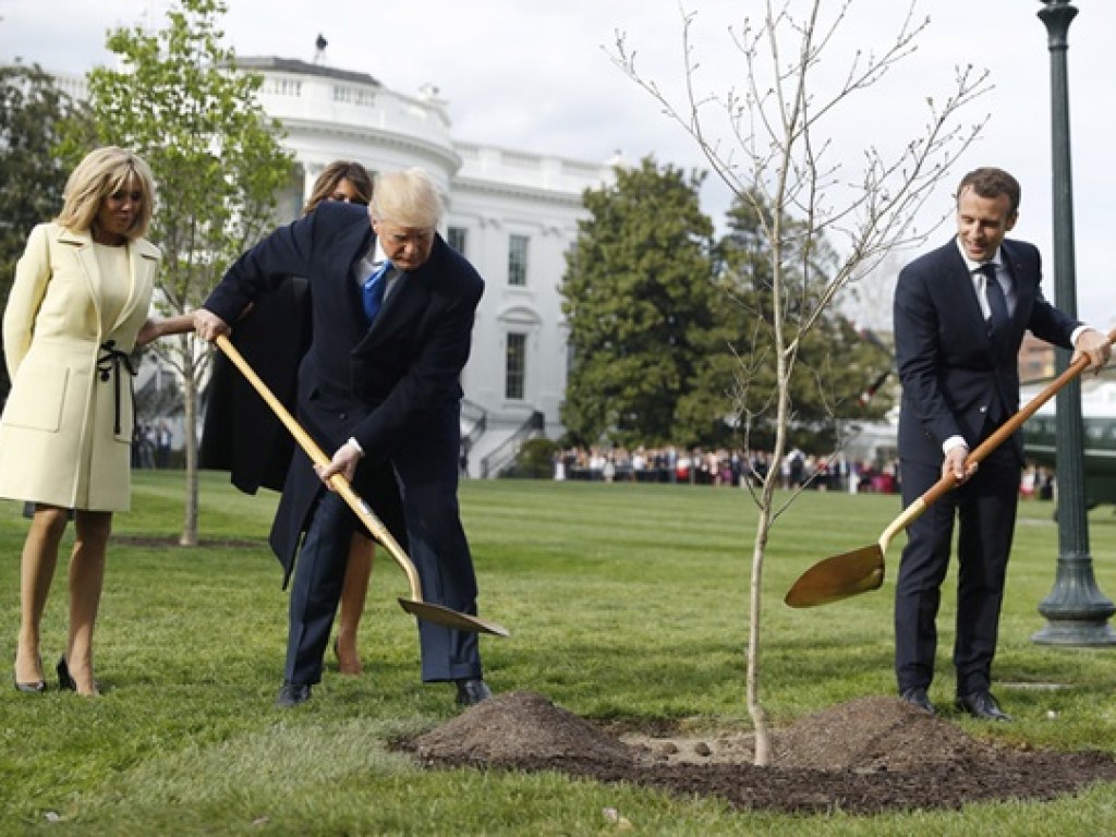 Трамп и Макрон с женами посадили французский дуб возле Белого дома (ФОТО)
