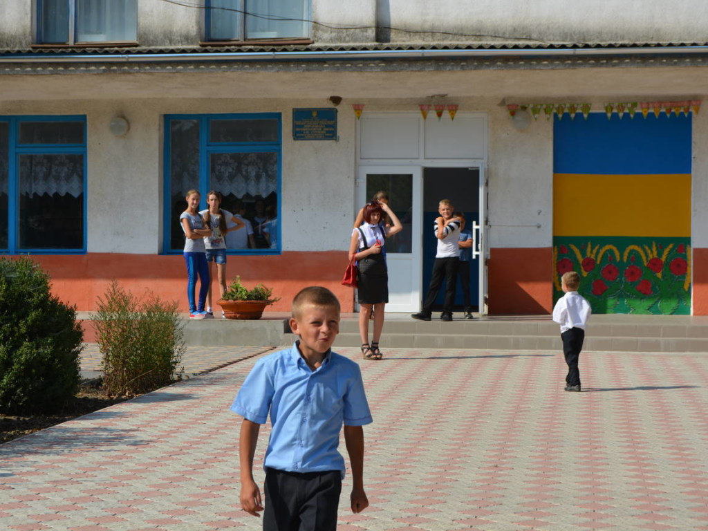 Сегодня в Украине работает 504 опорные школы &#8212; Зубко