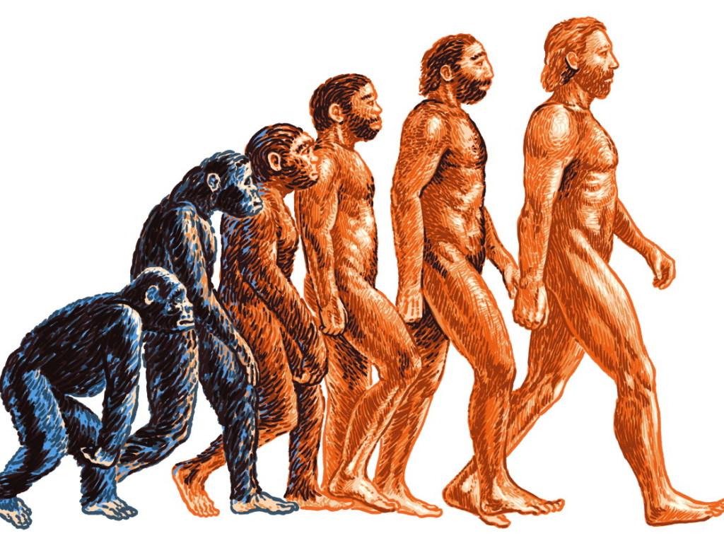 Обнаружены доказательства продолжения человеческой эволюции