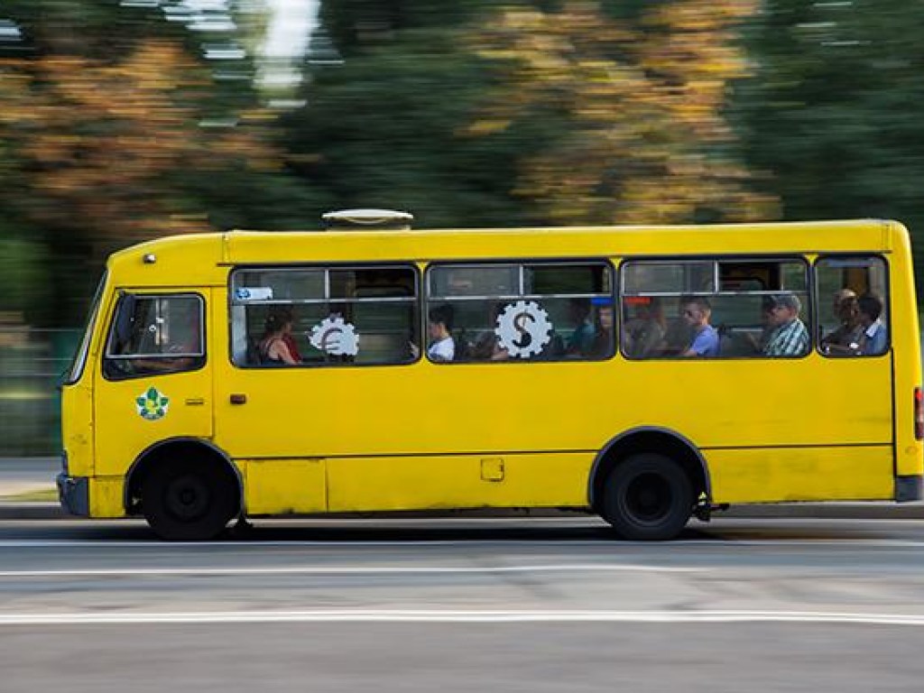 Водитель запорожского автобуса поскандалил с кондуктором из-за льготников
