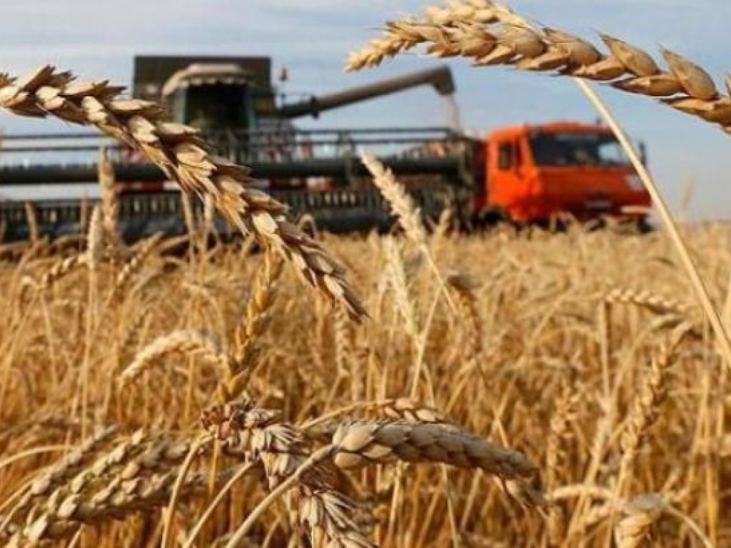 Бывшего главу Государственной зерновой корпорации объявили в розыск (ФОТО)