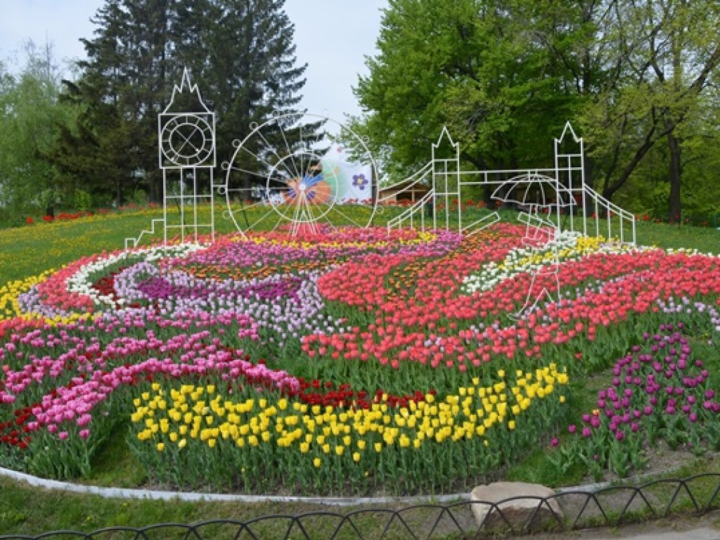 На Певческом поле в Киеве открылась выставка тюльпанов (ФОТО)