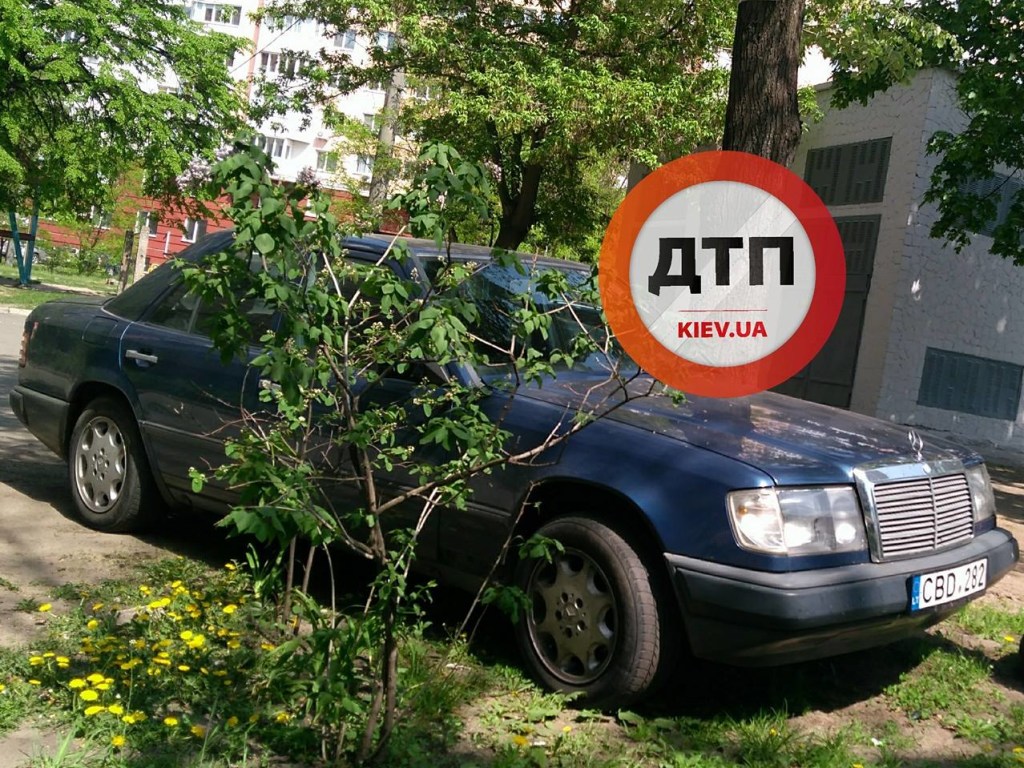 «Герой парковки»: в Киеве водитель Mercedes решил утроиться у куста (ФОТО)
