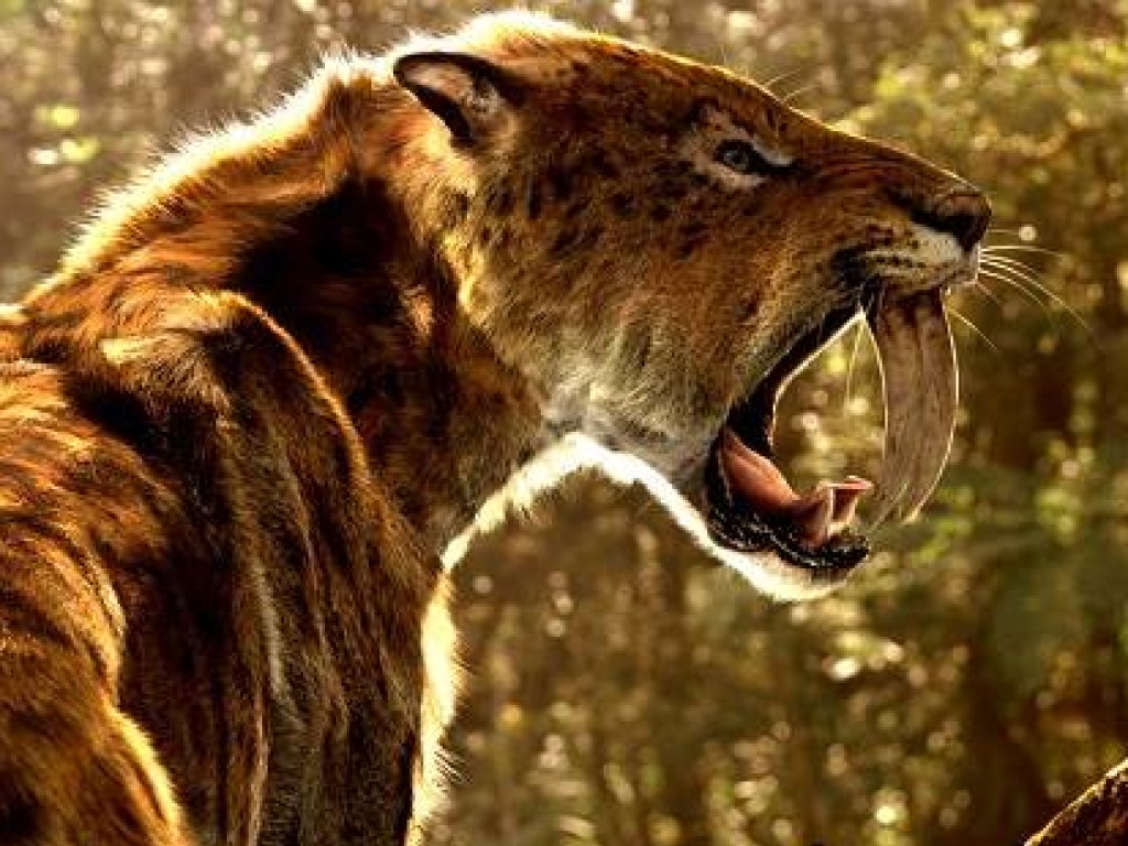 На Прикарпатье обнаружили останки саблезубого тигра (ФОТО)