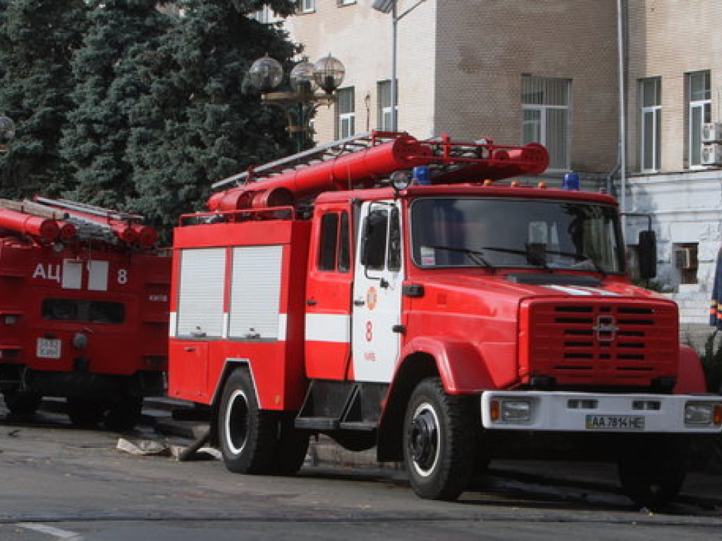 В Киеве из пламени пожара спасли 23 человека и кота