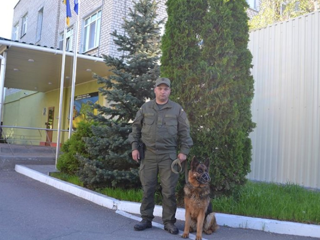На Николаевщине служебная собака нашла пропавшего ребенка, готовящегося к самоубийству (ФОТО)