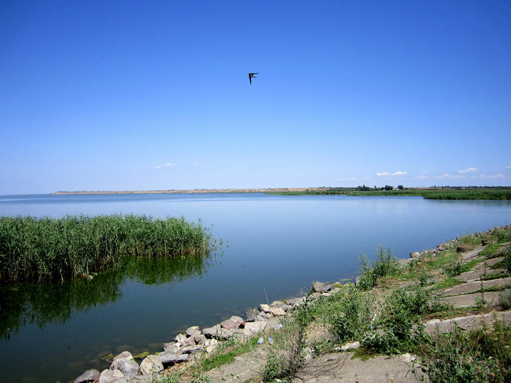 Самое большое пресноводное озеро Украины наполнят водой из Дуная