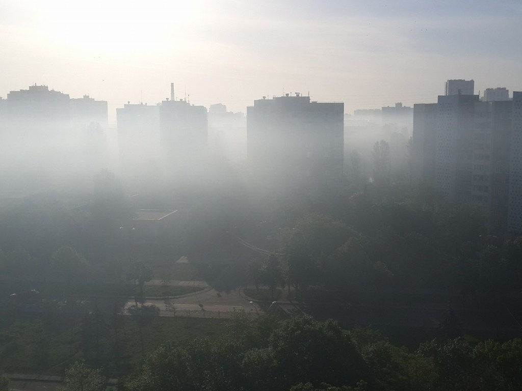 На Виноградаре в Киеве горели сады: жилой массив окутал смог (ФОТО)