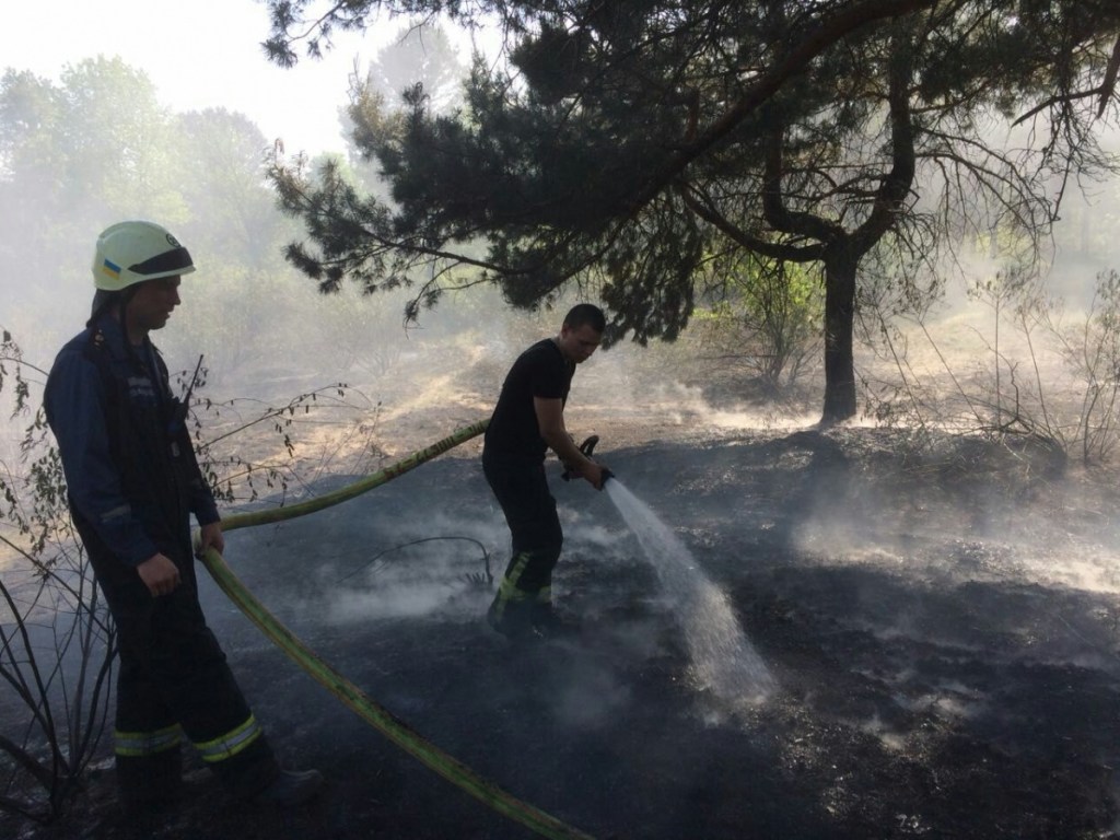 На Трухановом острове в Киеве произошел пожар (ФОТО)
