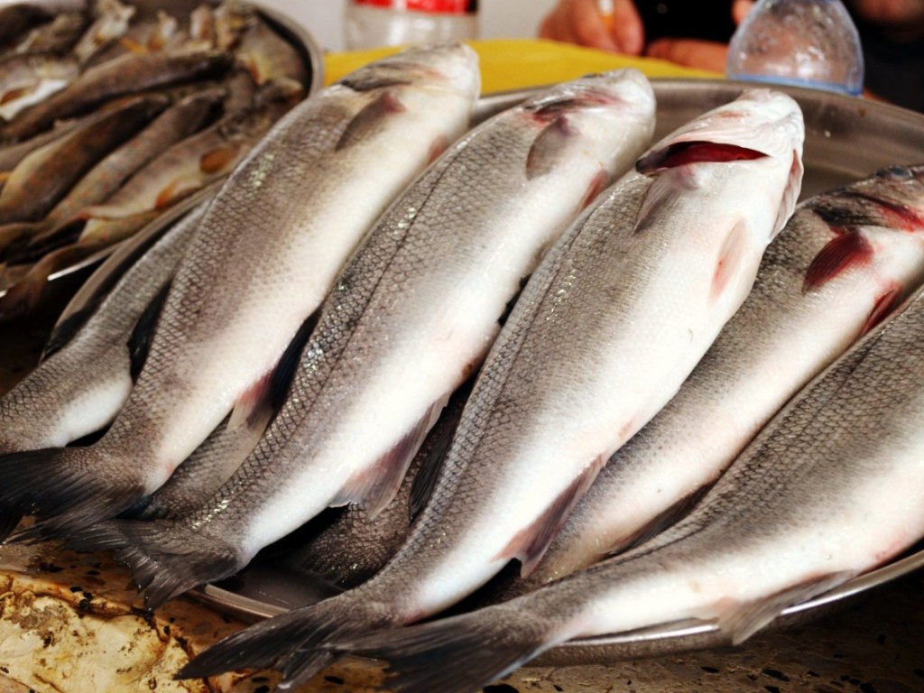 Цена на рыбу в Украине будет зависеть от курса доллара &#8212; эксперт