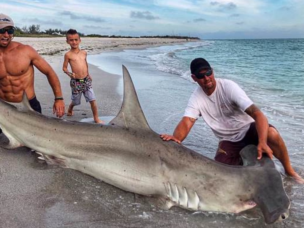 Сеть покорил мускулистый рыбак с четырехметровой акулой в руках (ФОТО)