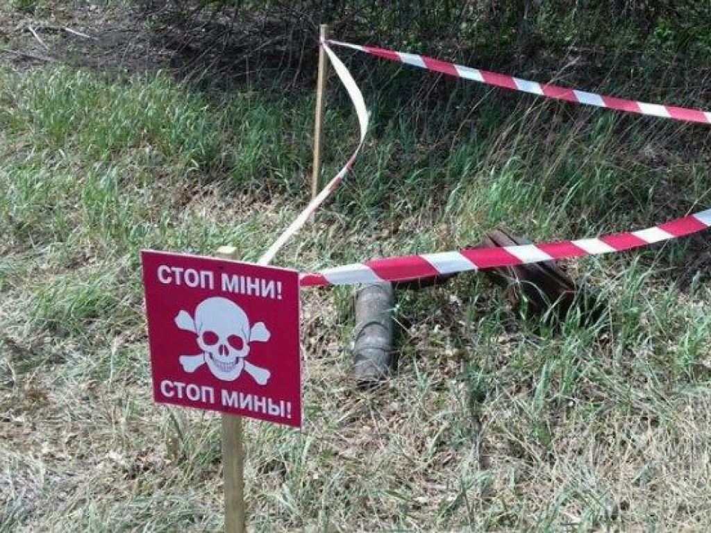 В Донецкой области обнаружили тайник с боеприпасами (ФОТО)