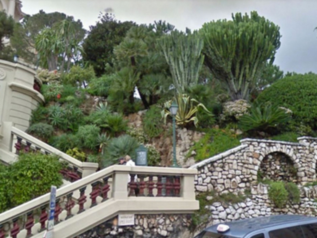 В Монако падение огромного кактуса привело к гибели 92-летней туристки