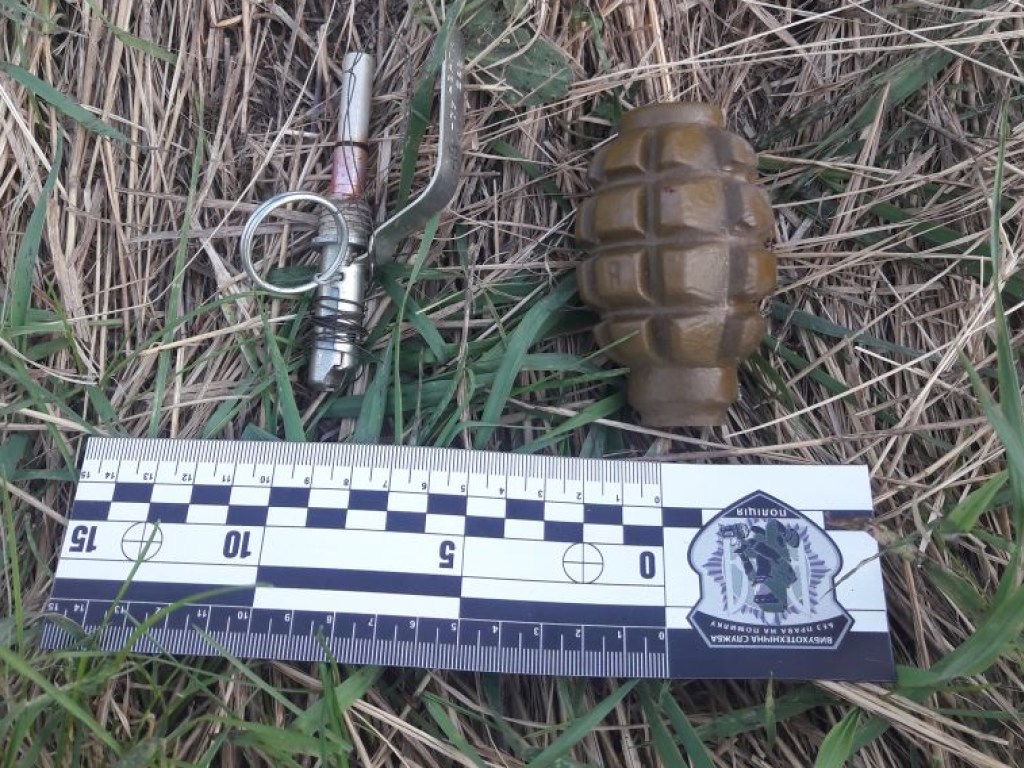 В Луганской области пограничники обезвредили 25-метровую растяжку с гранатой (ФОТО)