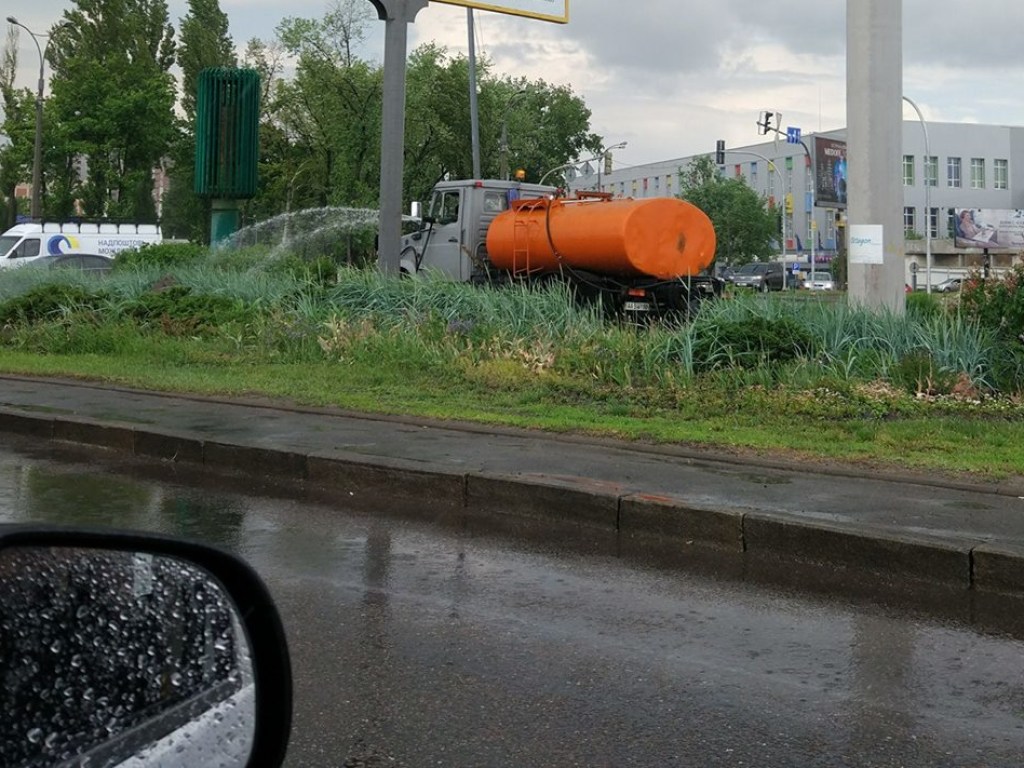 В Киеве под дождем коммунальщики взялись поливать газоны (ФОТО)