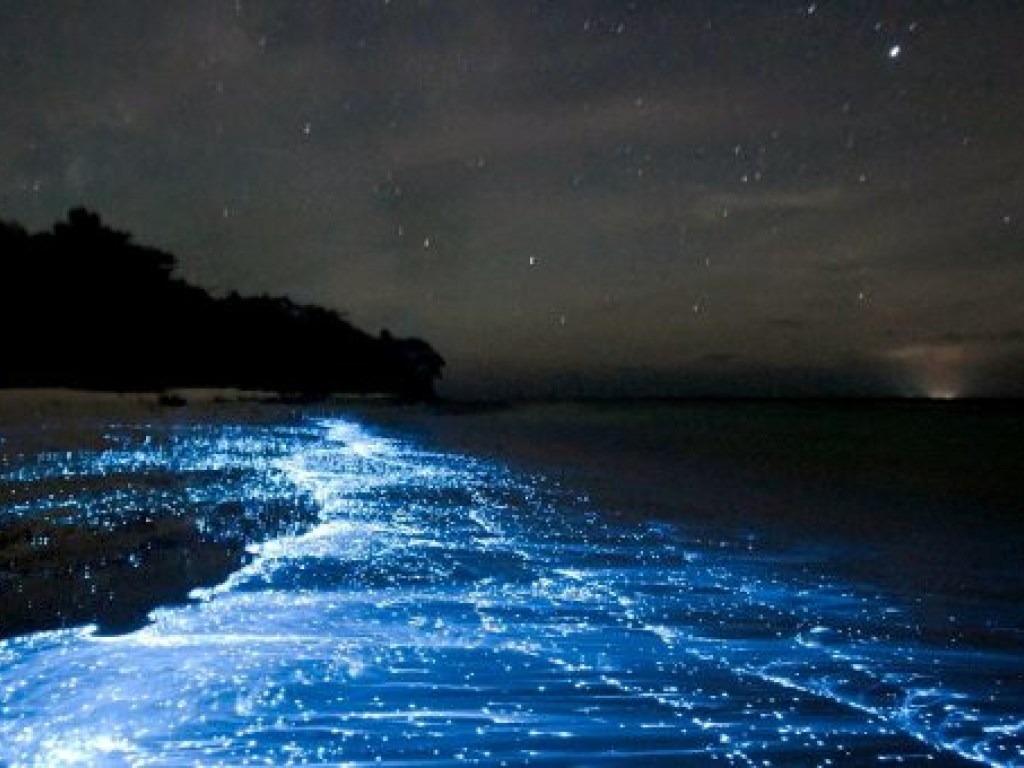 В Калифорнии волны океана засветились голубым электрическим светом (ВИДЕО)